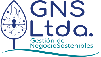 Academia GNS – Aula Virtual